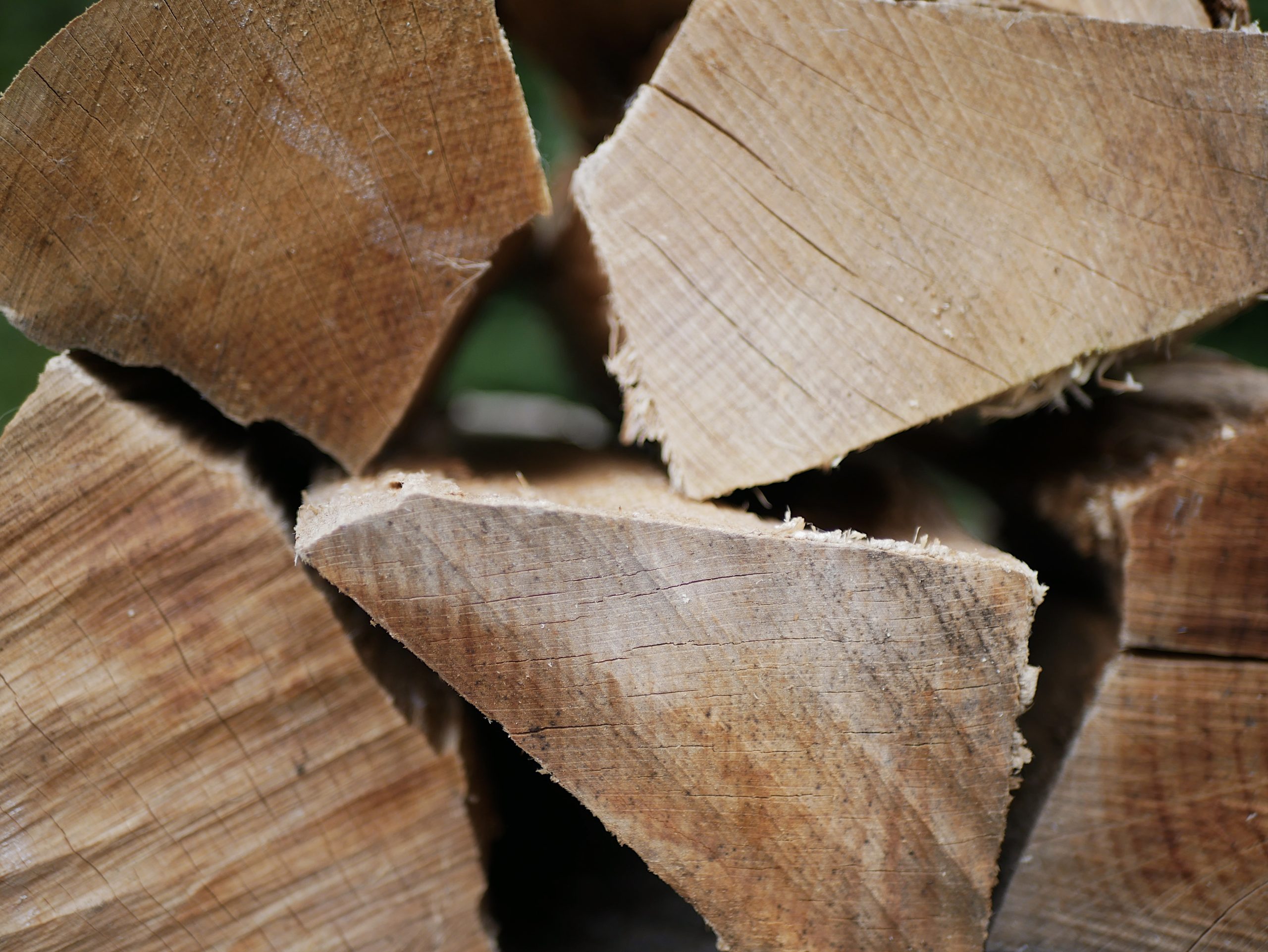 Bøgebrænde - Billede 3