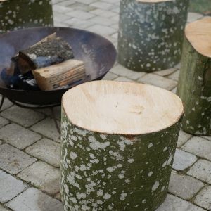 Siddestub i bøgetræ