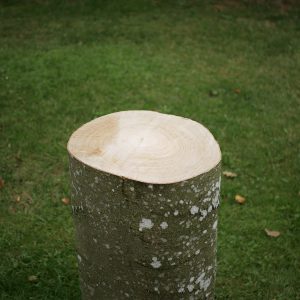 Sømblok af bøgetræ